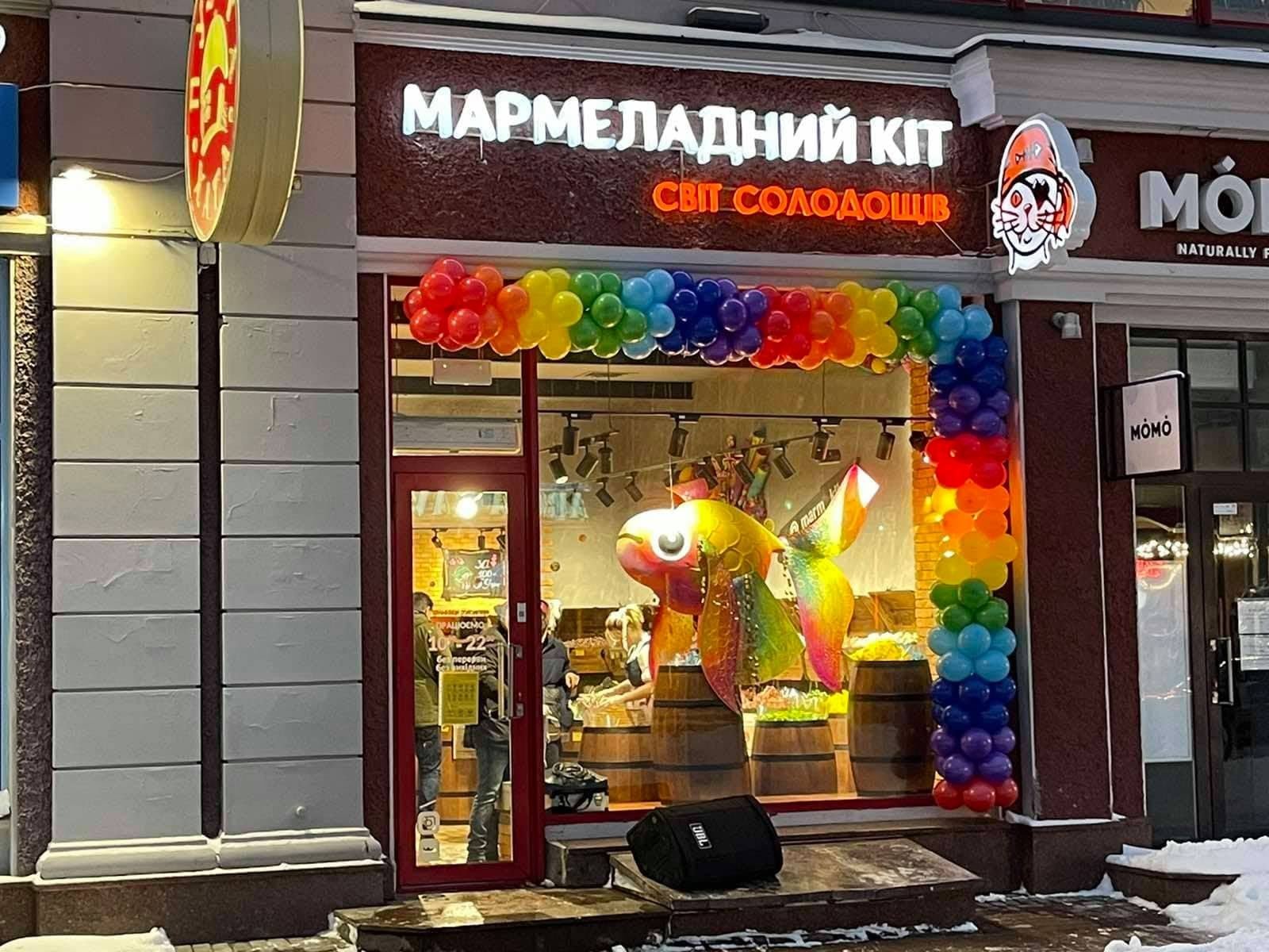 Marmalade Cat in Kyiv